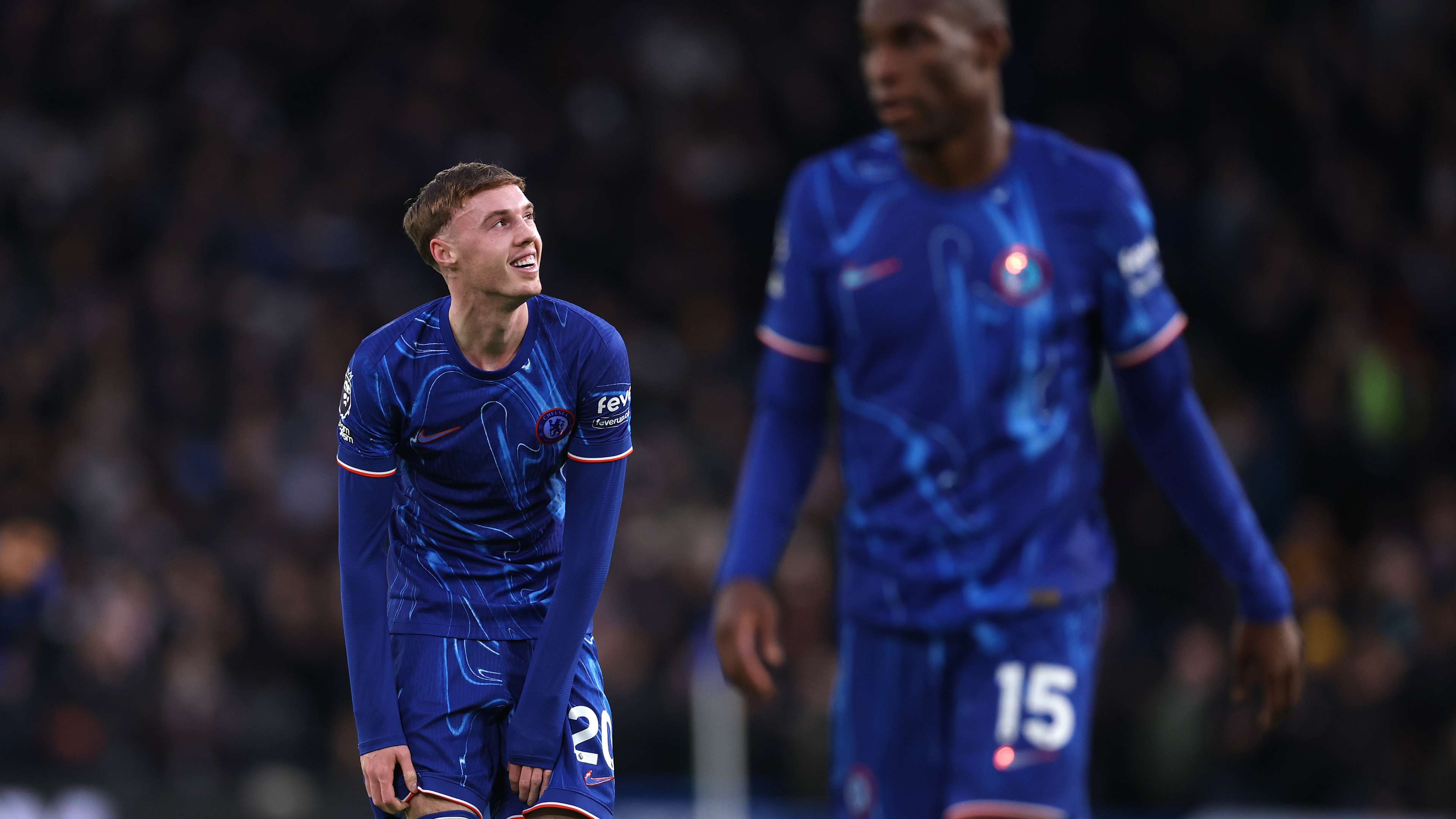 最近的几年 最近的几年