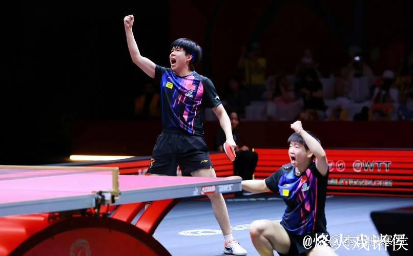 孙颖莎王楚钦伤退没有一片雪花是无辜的,乒乓商业化陷入两难困局 孙颖莎王楚钦伤退没有一片雪花是无辜的,乒乓商业化陷入两难困局